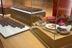 IMG-20230609-WA0101